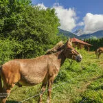 © modane-camping-les-combes - HMVT/B.Lemoine