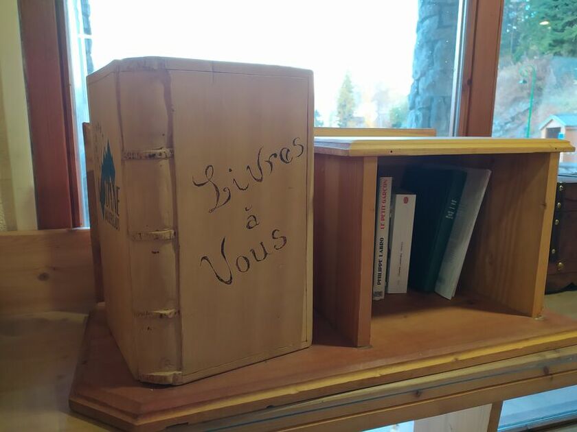 © Livres sur une bibliothèque - L.Pétinot OT HMVT