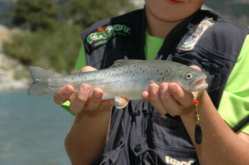 Pêche en rivière et lac d'altitude