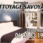 © Carte de visite Nettoyage savoyard - Nettoyage savoyard