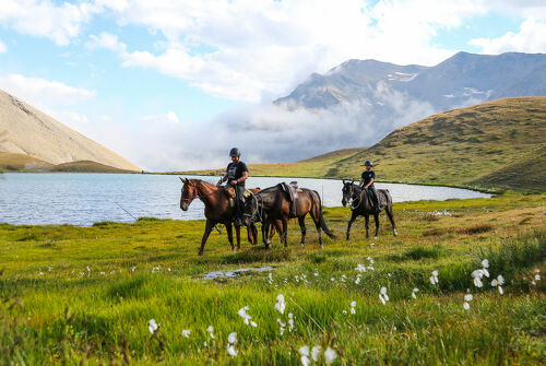 Horseback riding