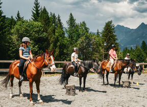 Discovery visit of the Haute Maurienne Vanoise equestrian center