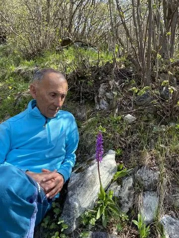 © Wandeling met Thierry Bardagi om planten te ontdekken - Thierry Bardagi