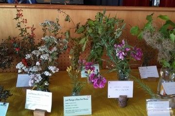 © Expo - Annick Darrier