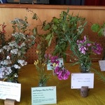 © Expo - Annick Darrier