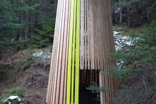 Cabane en forêt