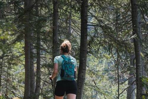 Trail de Val Cenis Bramans aux forts