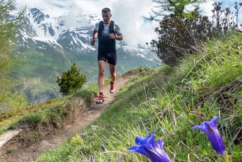 Trail du chemin des Gardes