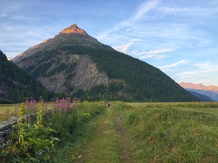 Trail du sentier de la Lavesse