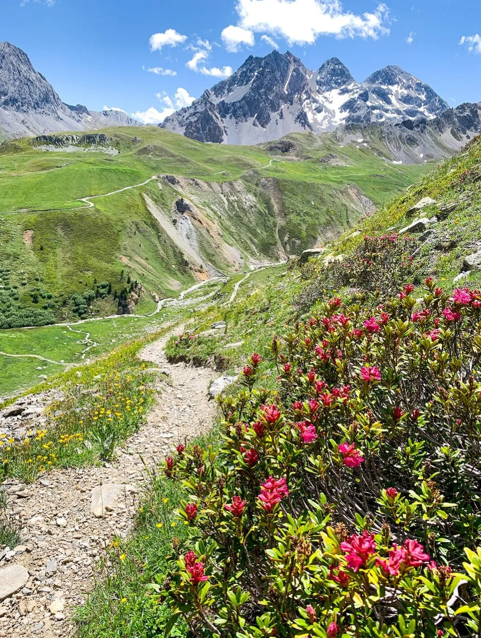 Wandelen naar de Sarrasins pas - OTHMV - B. Thomas