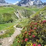 Wandelen naar de Sarrasins pas - OTHMV - B. Thomas