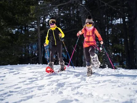 Snowshoeing by night