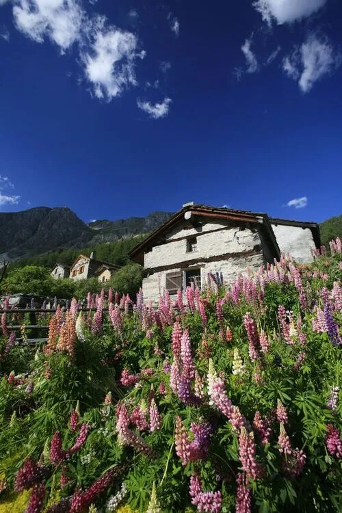 Valley of Polset