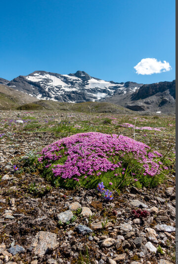 © Exposition Coup de chaud sur la Vanoise_Modane - Mylène Herrmann - Parc national de la Vanoise