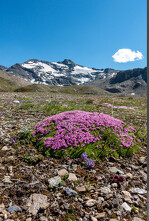© Exposition Coup de chaud sur la Vanoise_Modane - Mylène Herrmann - Parc national de la Vanoise