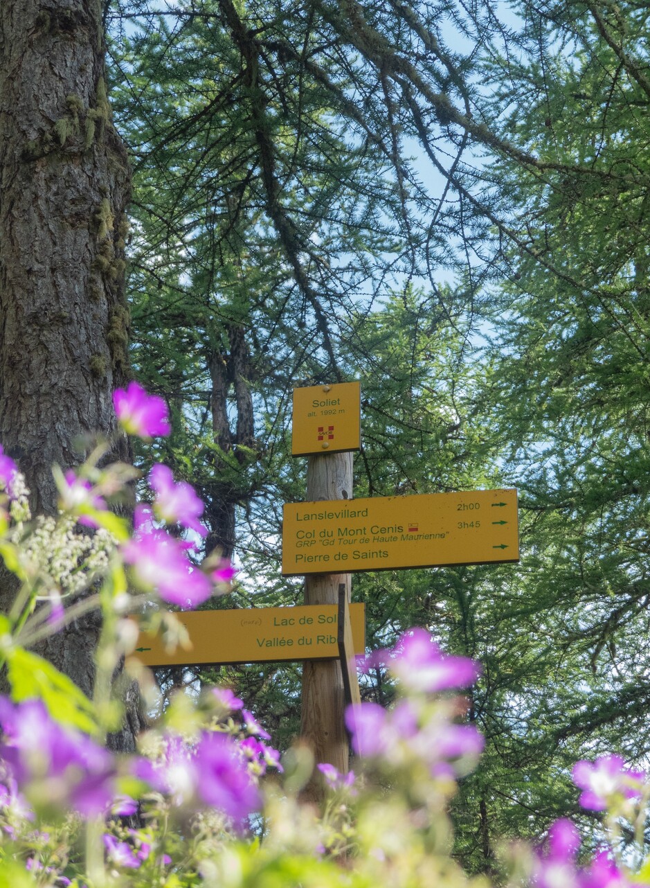 © Office National des Forêts_Modane - B.Filliol OT HMV