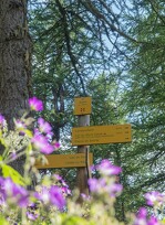 © Office National des Forêts_Modane - B.Filliol OT HMV
