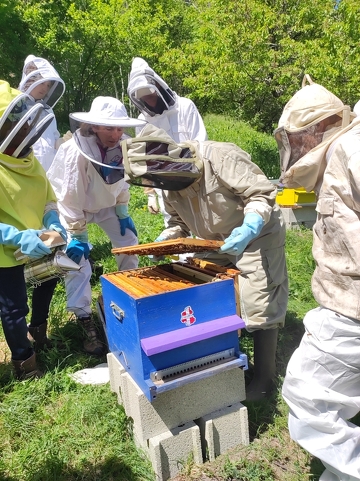 © Le Rucher des Allobroges - Section de Modane_Modane - Rucher des Allobroges