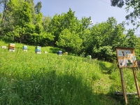 © Le Rucher des Allobroges - Section de Modane_Modane - Rucher des Allobroges