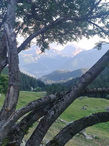 © observation animalière au lever du soleil_Modane - Thierry Bardagi