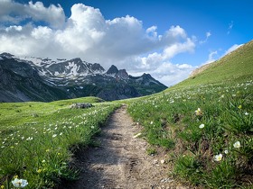 Sur les traces de la Bataille des Alpes