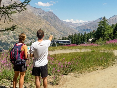 Trail à l'Ouillon des Arcelins par la canopée des cimes