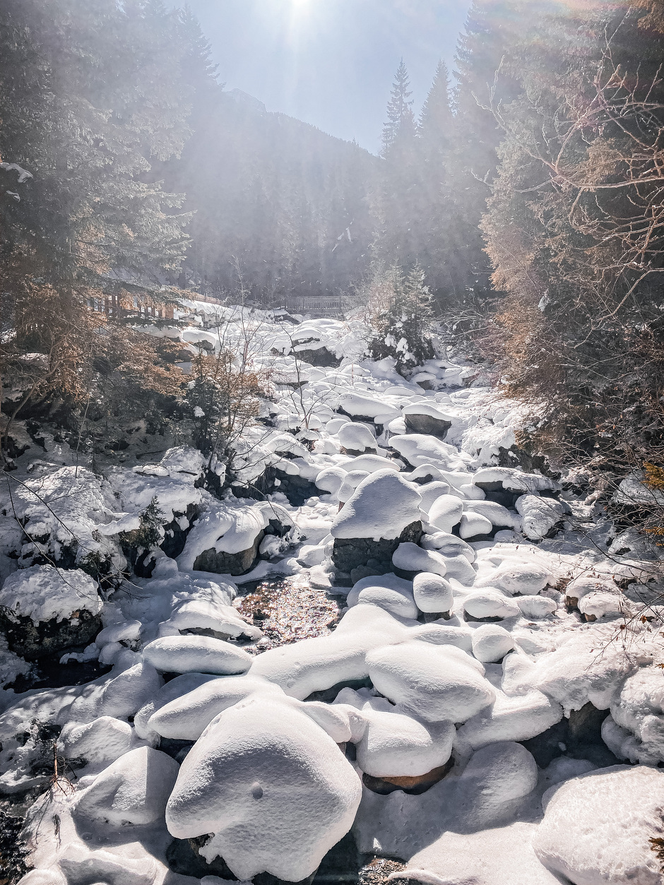 © Itinéraire piéton raquettes : Les Herbiers_Valfréjus - OTHMV - B Thomas