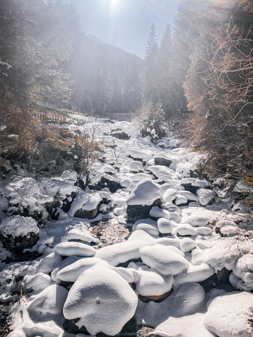 Itinéraire piéton raquettes : Les Herbiers