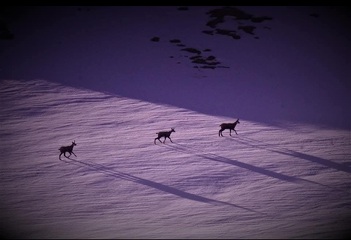 © Randonnée hivernales_Valfréjus - Christophe Chappellaz