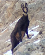 © Randonnée hivernales_Valfréjus - Christophe Chappellaz