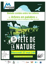Storytelling among the trees: Abres en palabre (Trees in palaver)