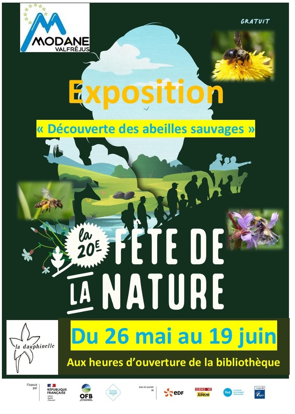 Exhibition: Discovering wild bees