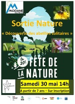 Nature outing: Discovering solitary bees