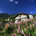 © modane-vallon-polset - ©Inconnu