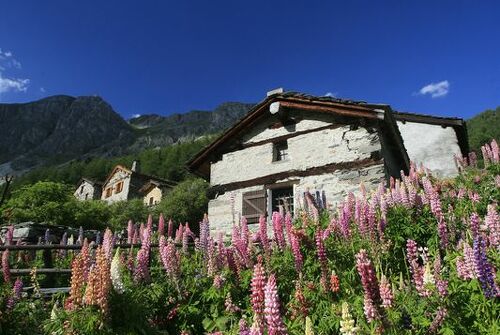 Vallon de Polset